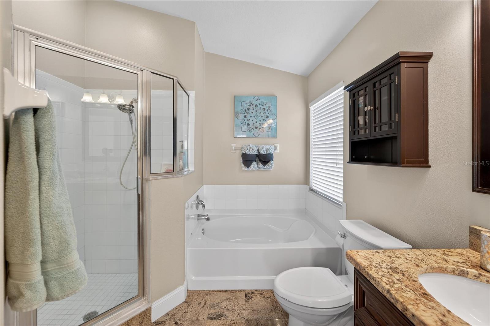 25508 BRUFORD BLVD, LAND O LAKES, FL, 34639