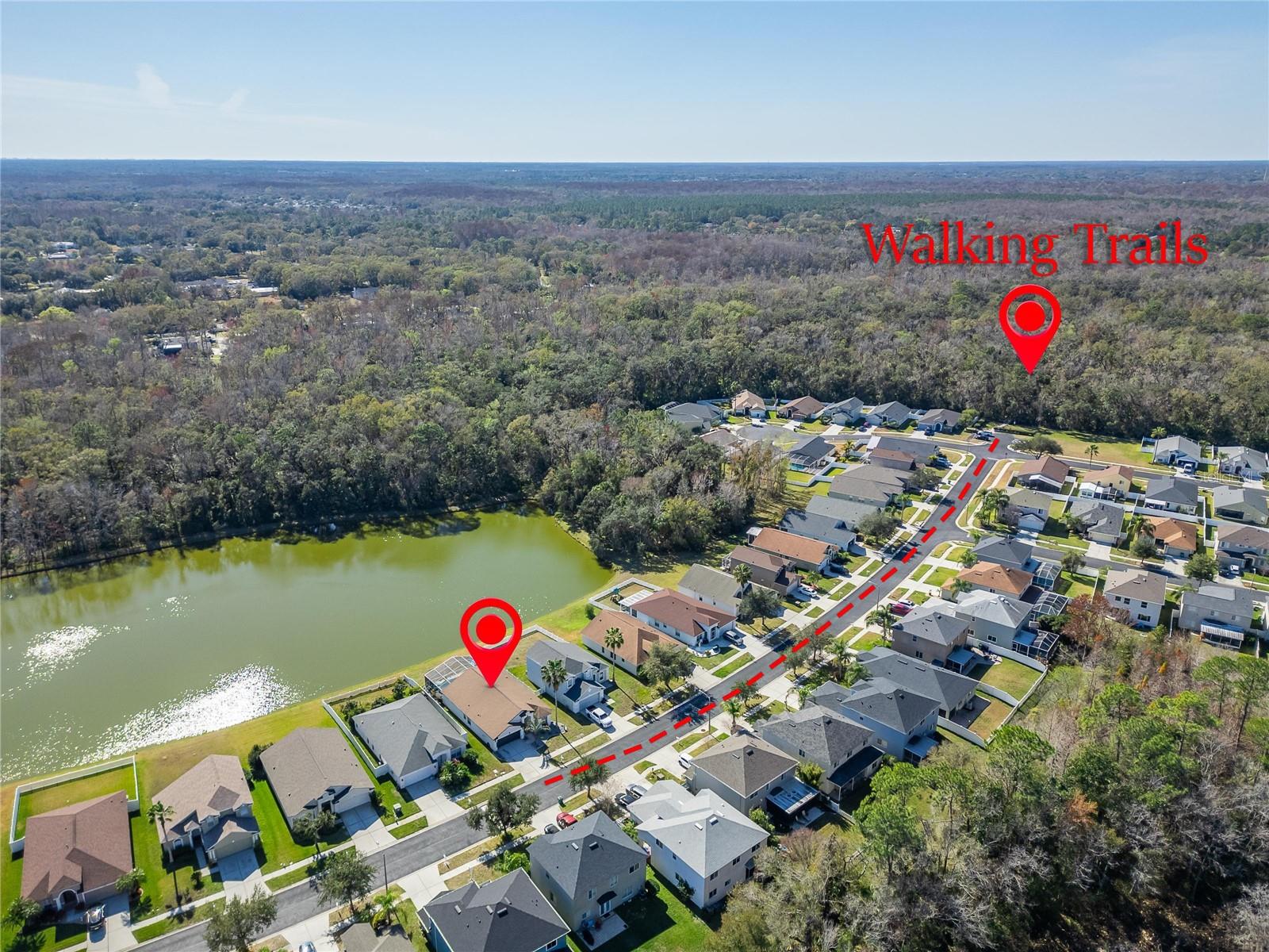 25508 BRUFORD BLVD, LAND O LAKES, FL, 34639