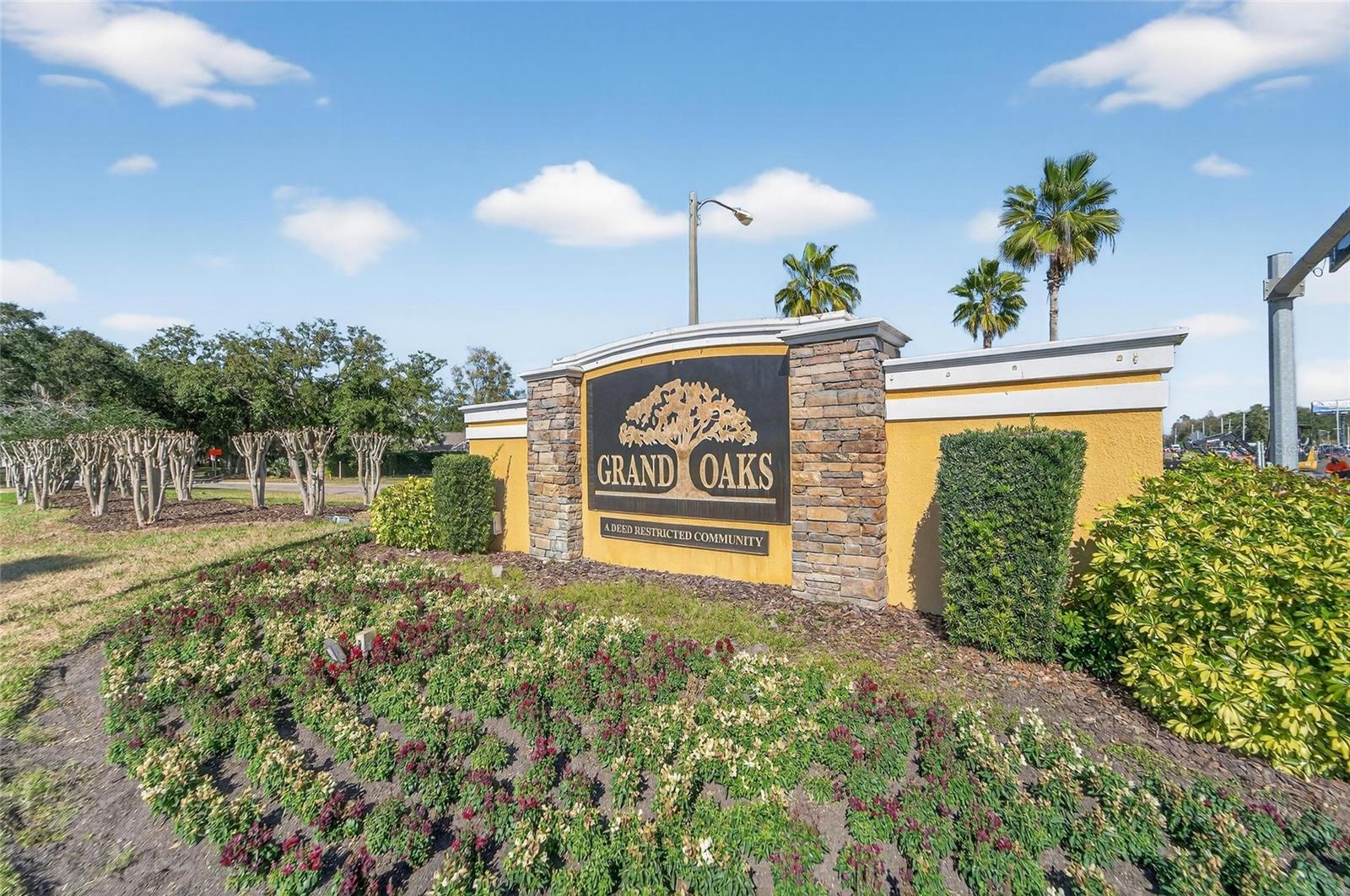 25508 BRUFORD BLVD, LAND O LAKES, FL, 34639