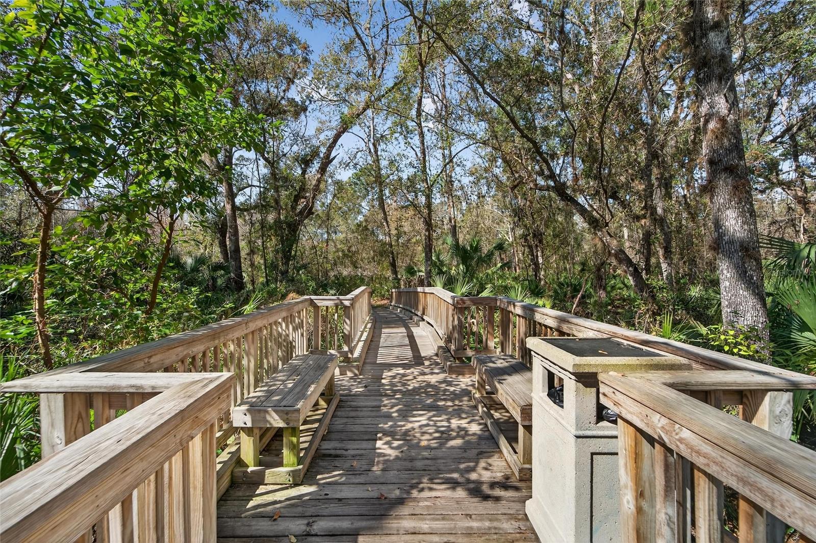 25508 BRUFORD BLVD, LAND O LAKES, FL, 34639