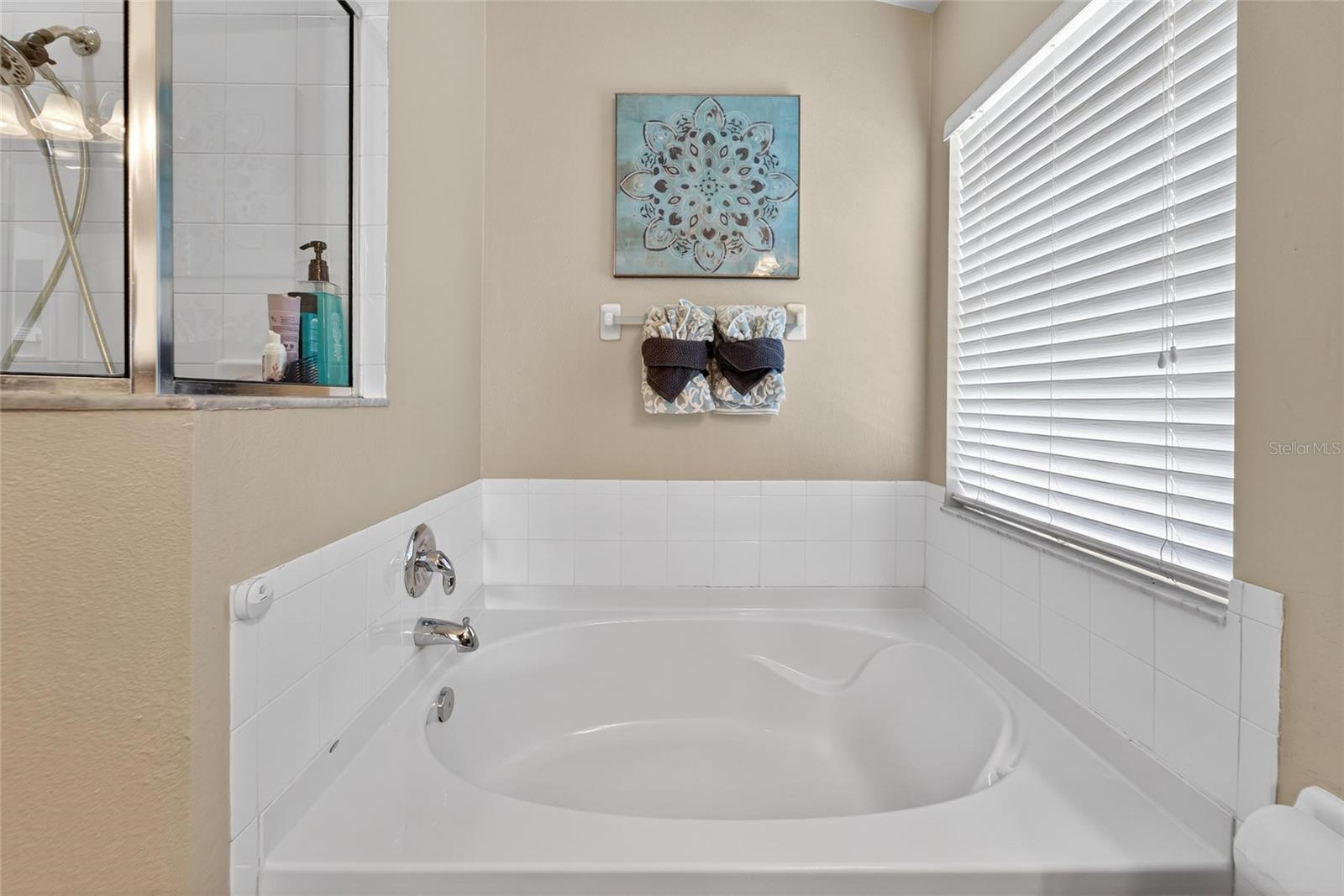 25508 BRUFORD BLVD, LAND O LAKES, FL, 34639