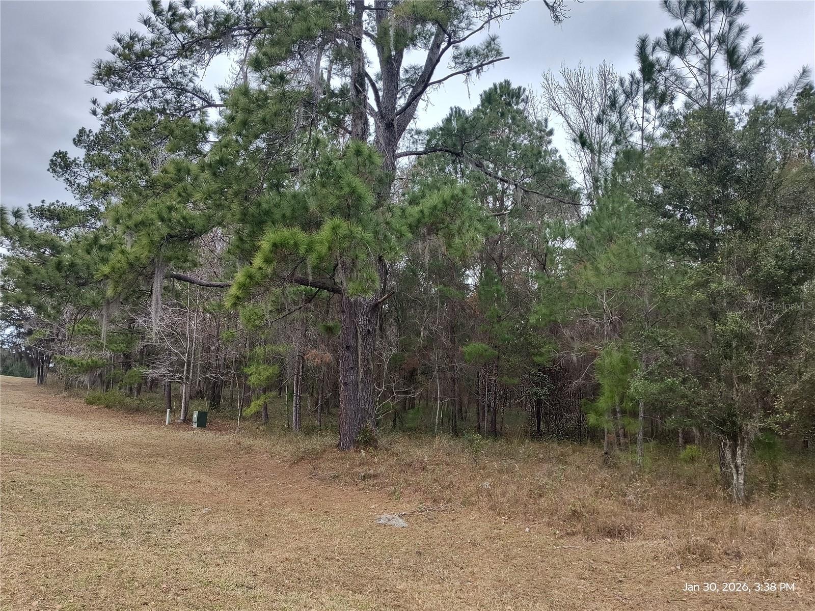 0 NW 142 ST, WILLISTON, FL, 32696