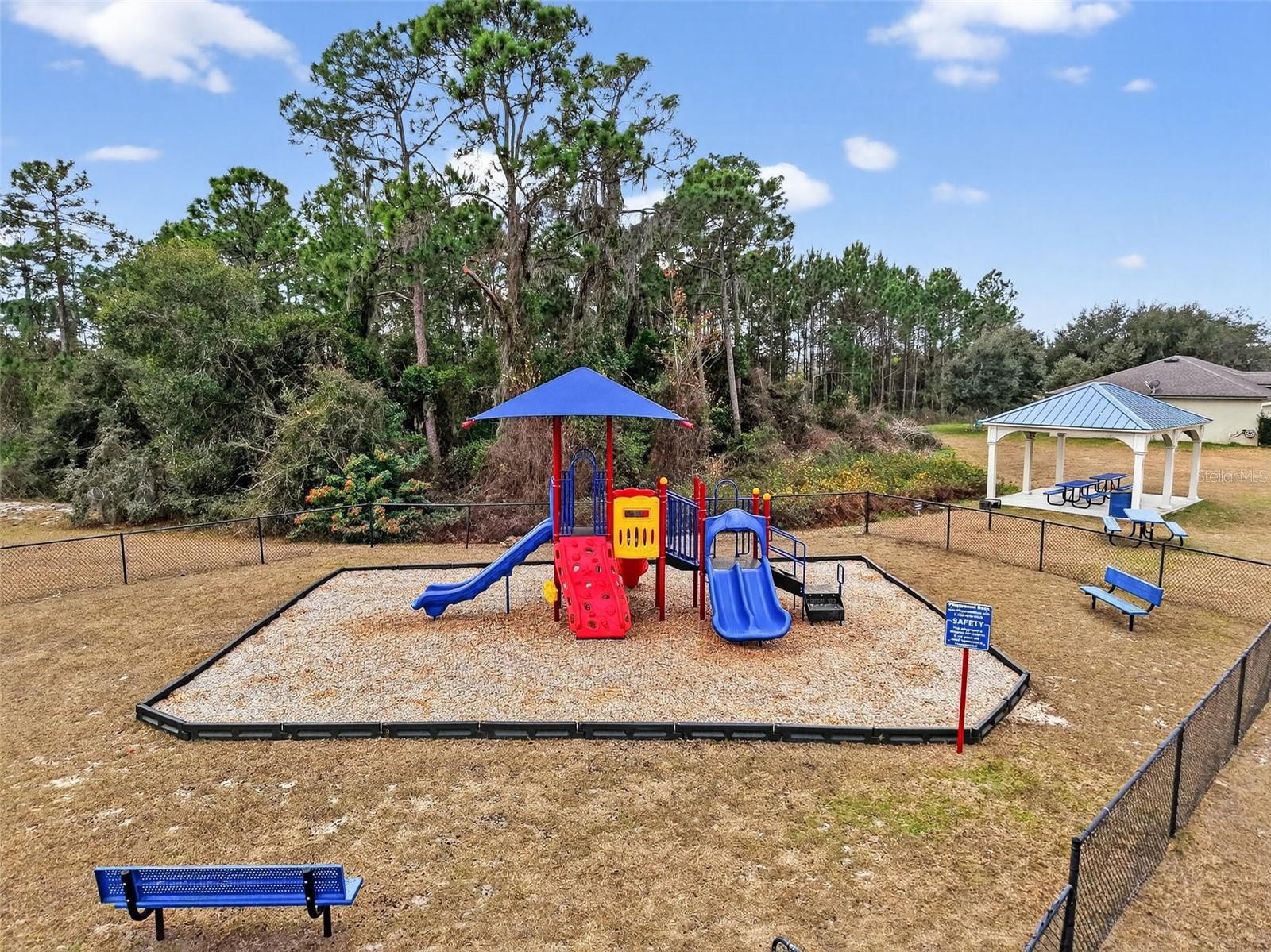 12058 CALLICARPA LN, LEESBURG, FL, 34788