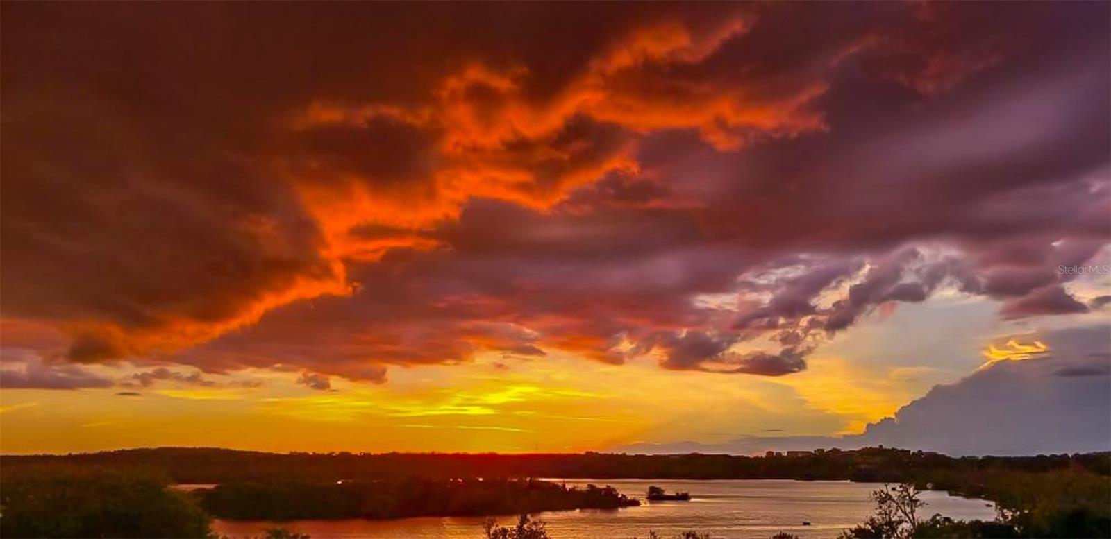 16325 PENDIO DR, BELLA COLLINA, FL, 34756