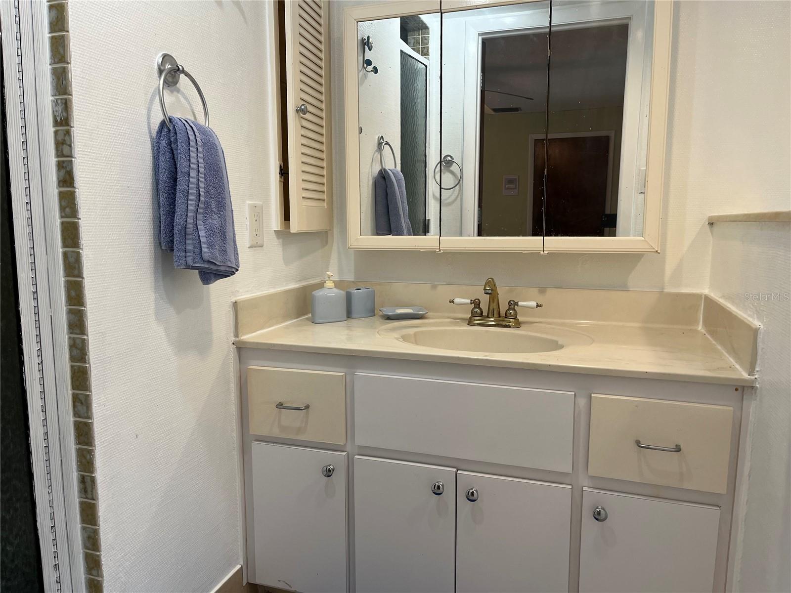 1310 SE 43RD TER, CAPE CORAL, FL, 33904