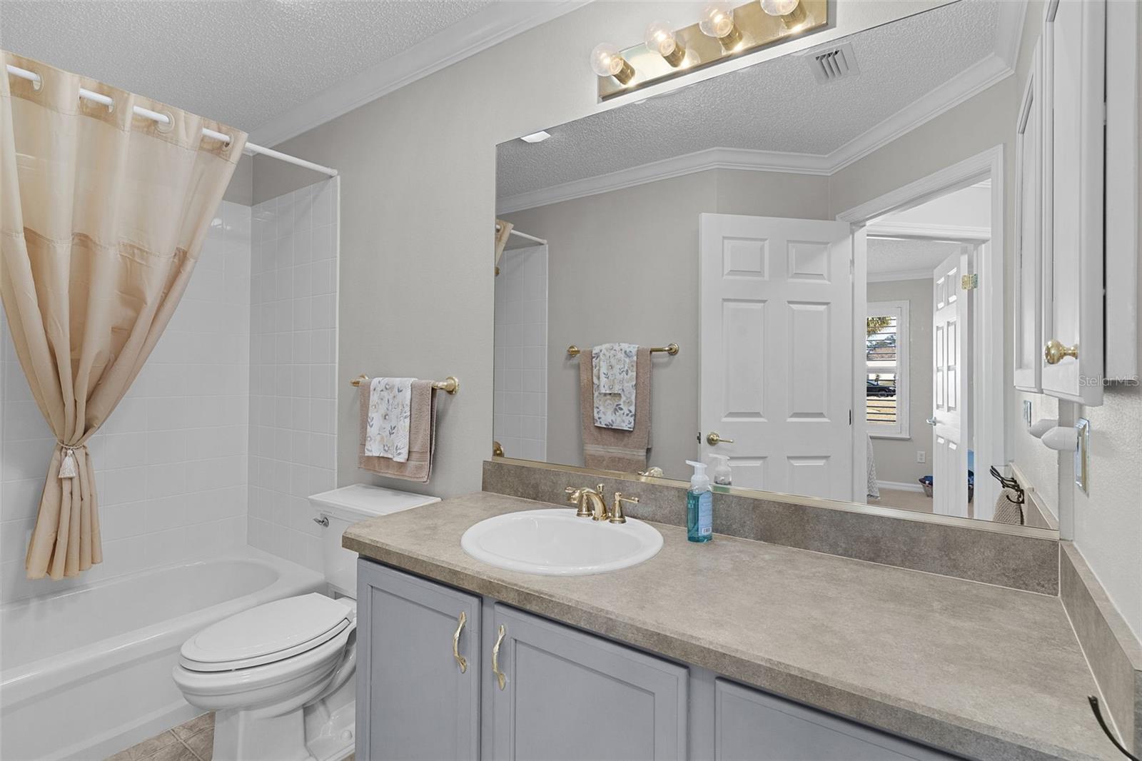 17645 SE 93RD CARSON TER, THE VILLAGES, FL, 32162