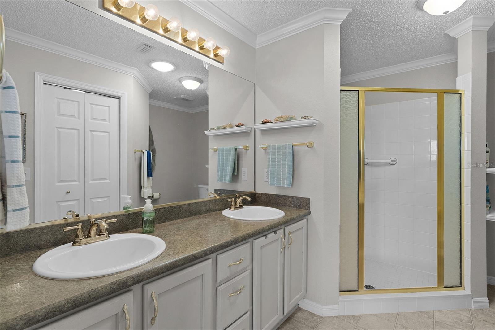 17645 SE 93RD CARSON TER, THE VILLAGES, FL, 32162