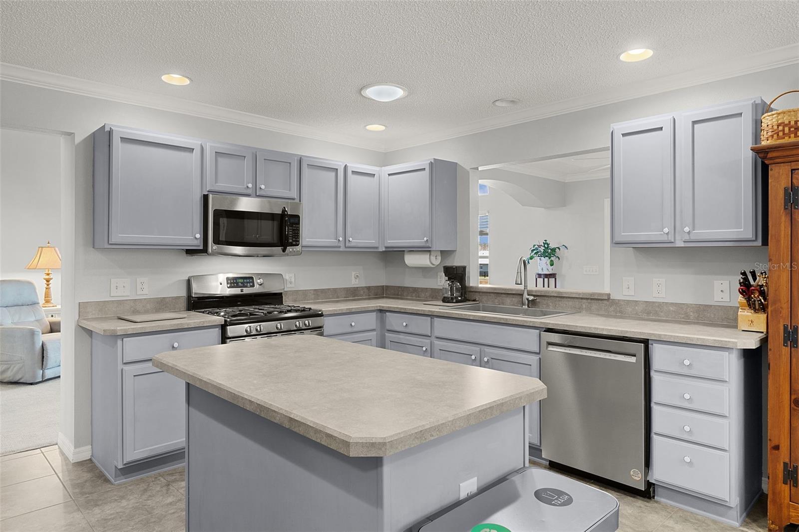 17645 SE 93RD CARSON TER, THE VILLAGES, FL, 32162