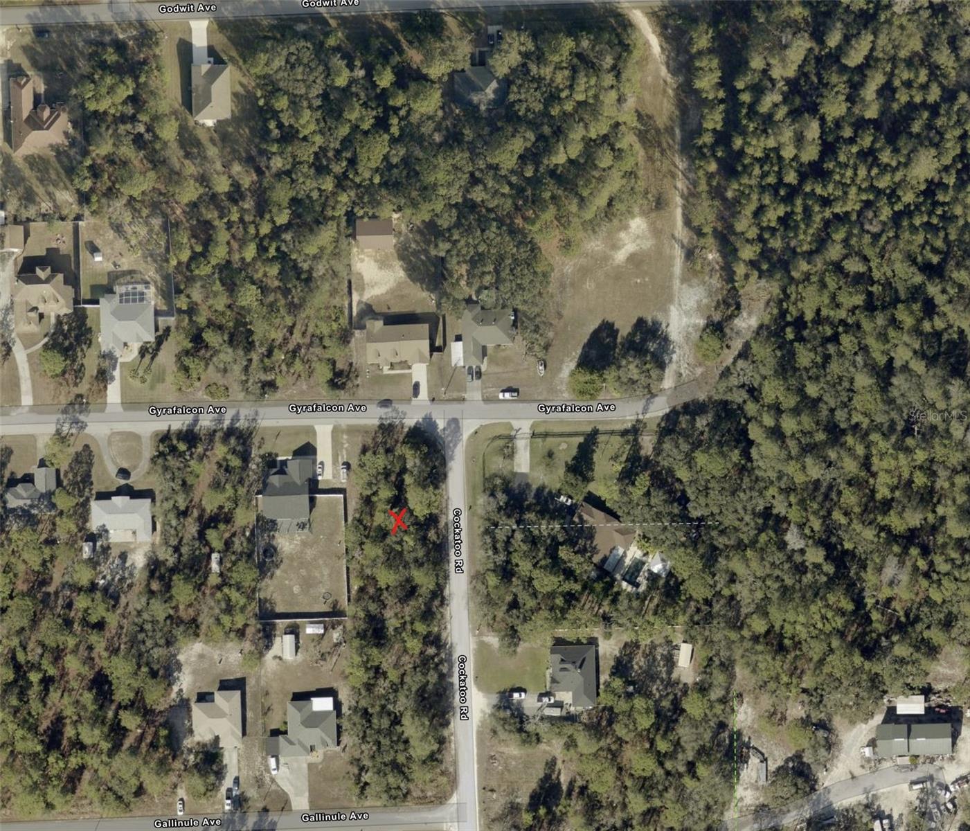 0 GYRAFALCON AVE, WEEKI WACHEE, FL, 34613