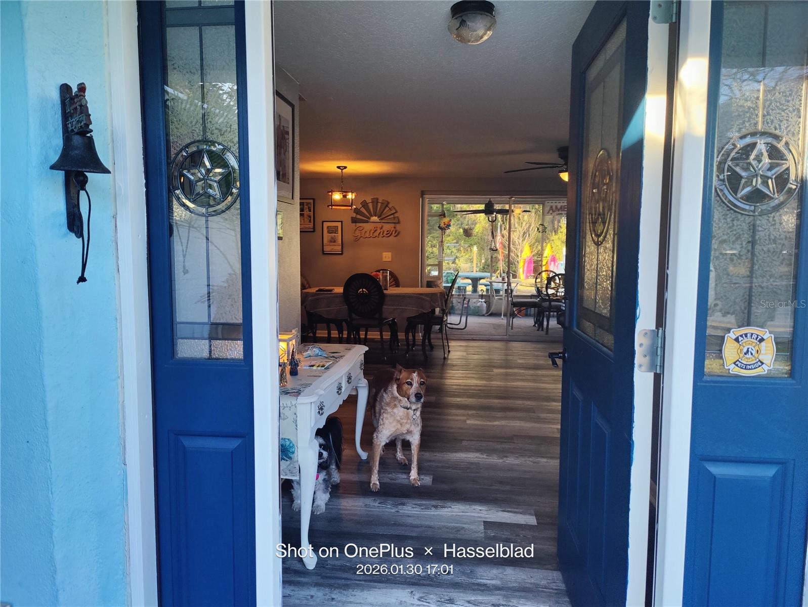 12131 LACEY DR, NEW PORT RICHEY, FL, 34654