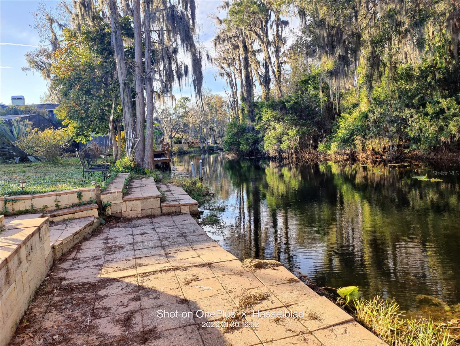 12131 LACEY DR, NEW PORT RICHEY, FL, 34654