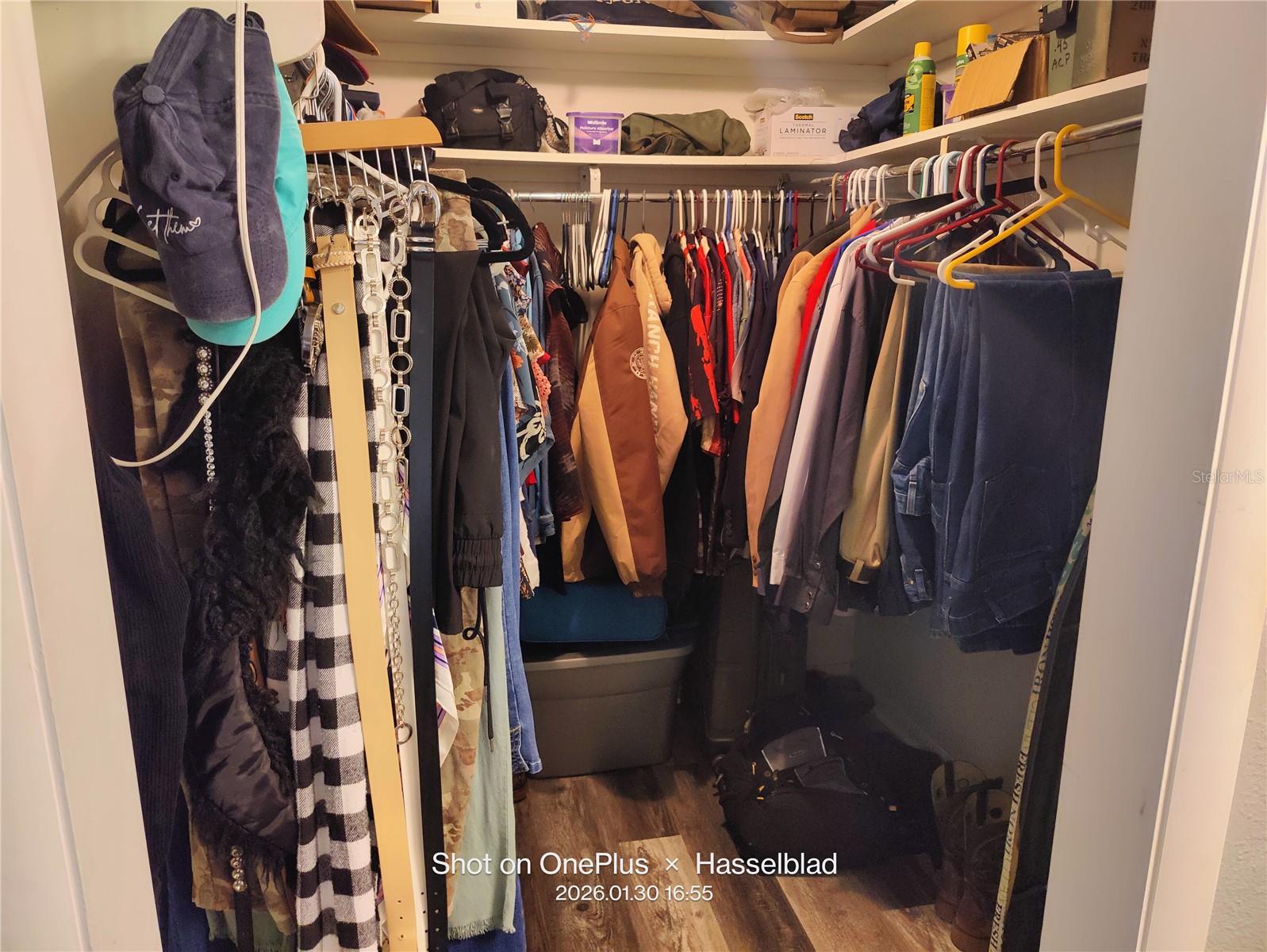 12131 LACEY DR, NEW PORT RICHEY, FL, 34654