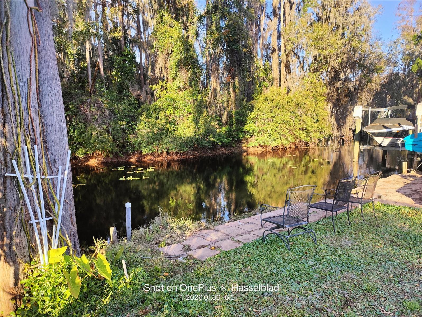 12131 LACEY DR, NEW PORT RICHEY, FL, 34654