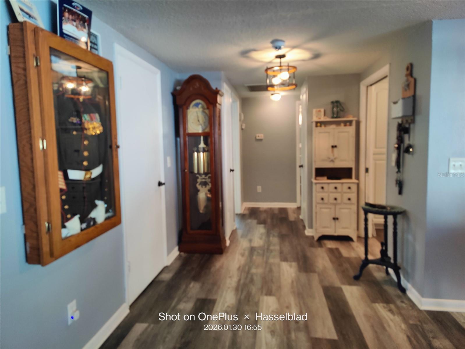 12131 LACEY DR, NEW PORT RICHEY, FL, 34654