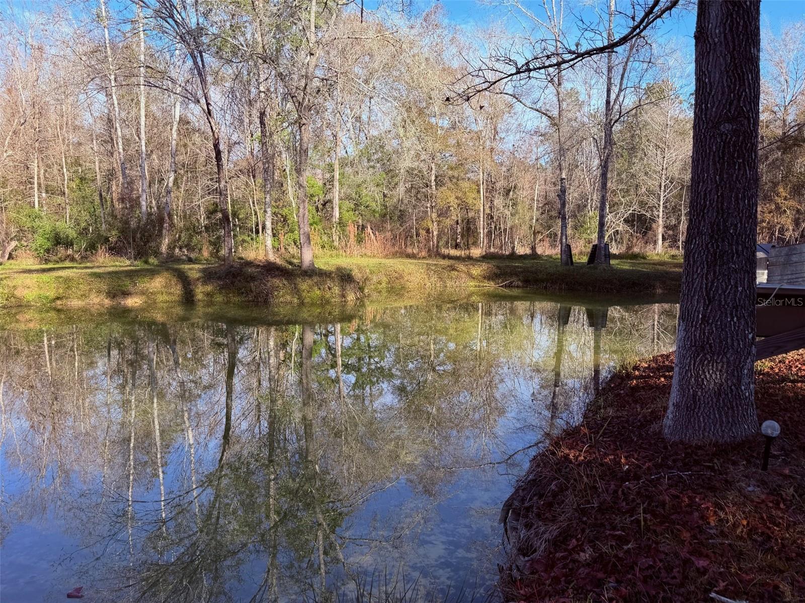 OFF NW 10 PL, CHIEFLAND, FL, 32626