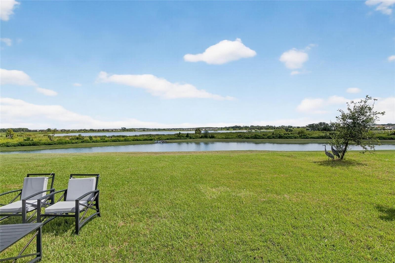 31783 SUN KETTLE LOOP, WESLEY CHAPEL, FL, 33545