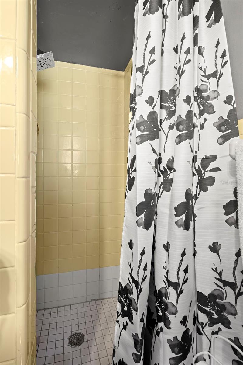 1009 S SAN REMO AVE, CLEARWATER, FL, 33756