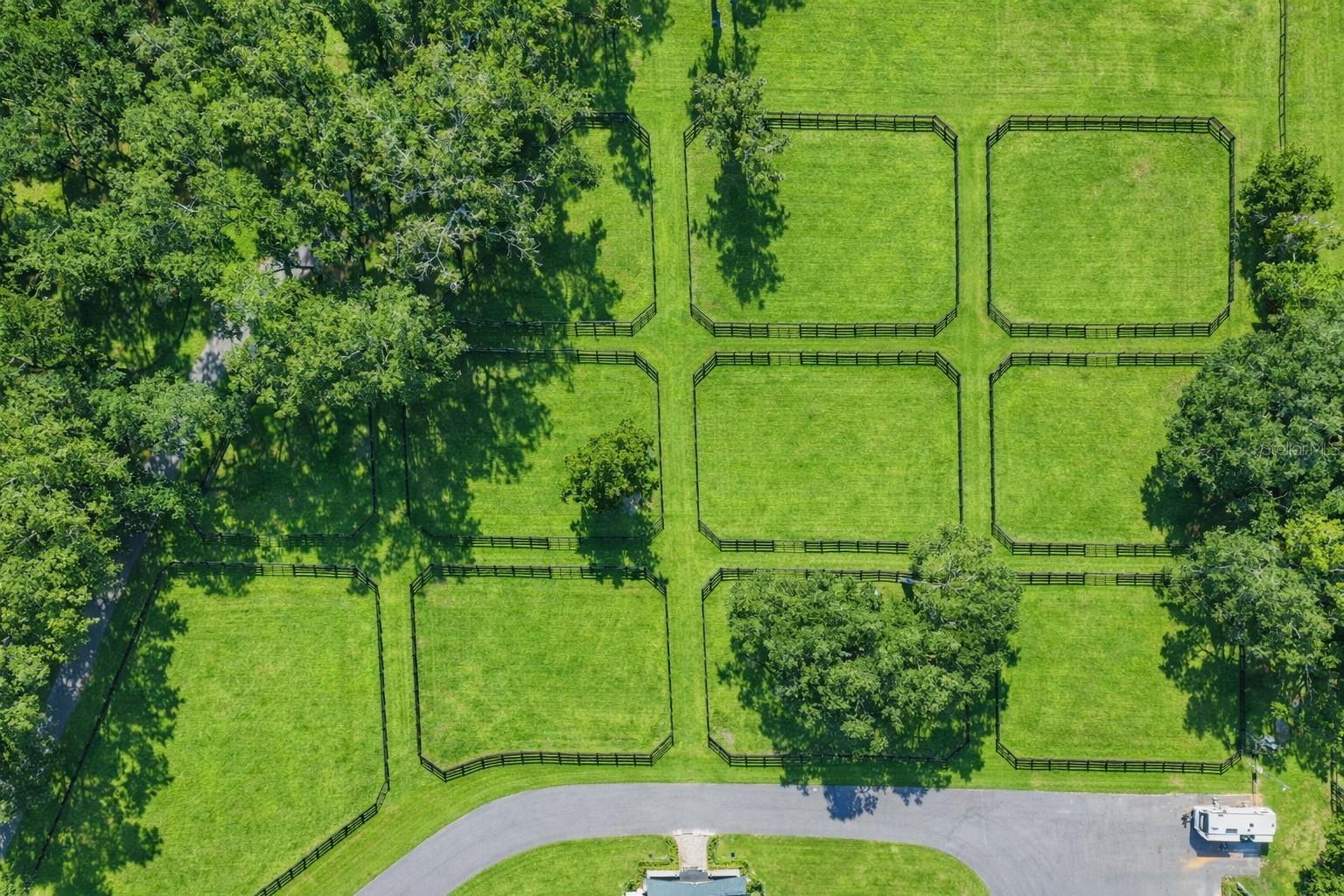 7950 NW 80TH AVE, OCALA, FL, 34482