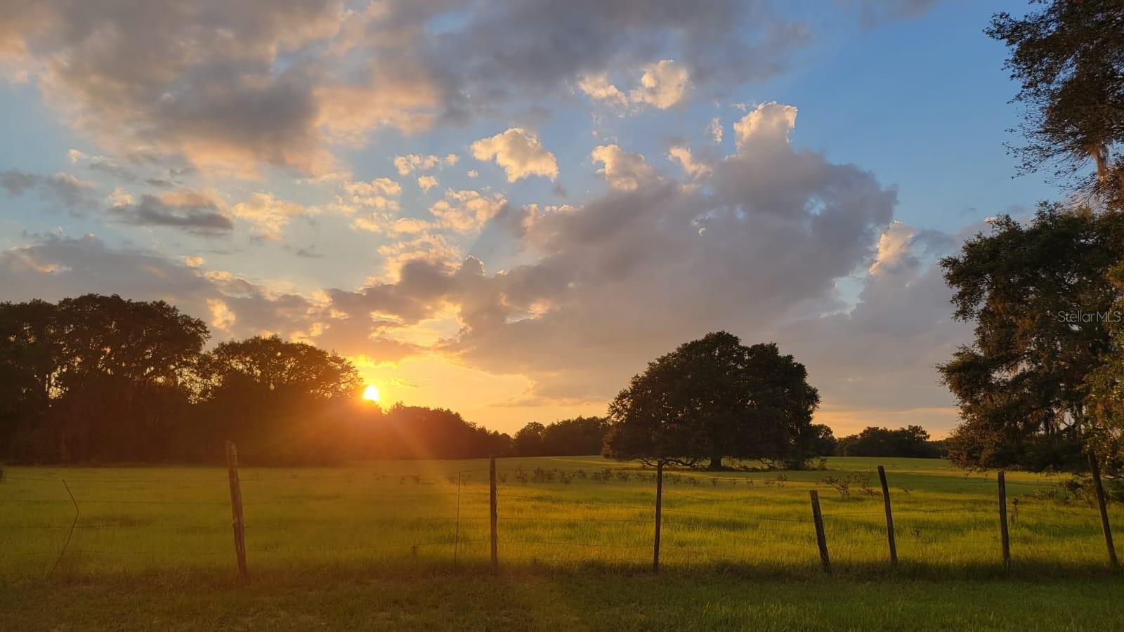 2800 HAMMOCK GROVE RD, GROVELAND, FL, 34736