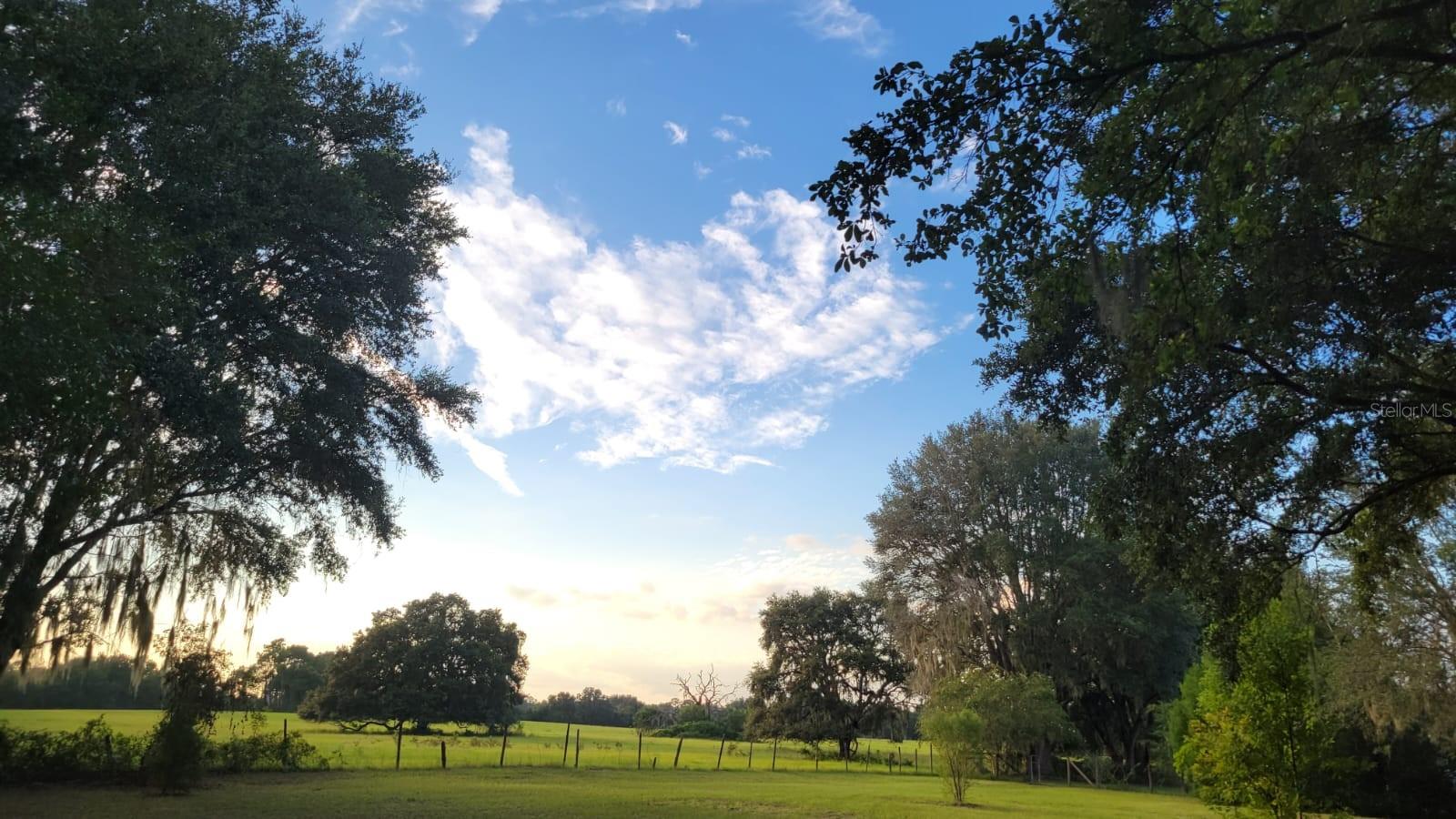 2800 HAMMOCK GROVE RD, GROVELAND, FL, 34736