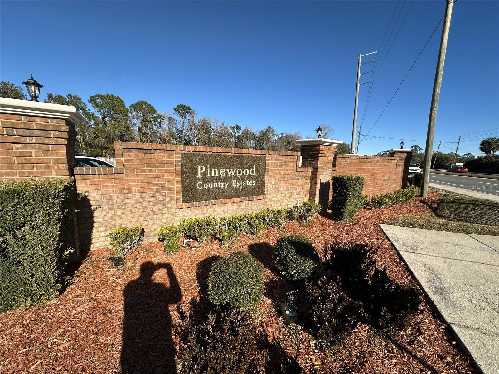 117 CYPRESS LANDING ST, DAVENPORT, FL, 33896