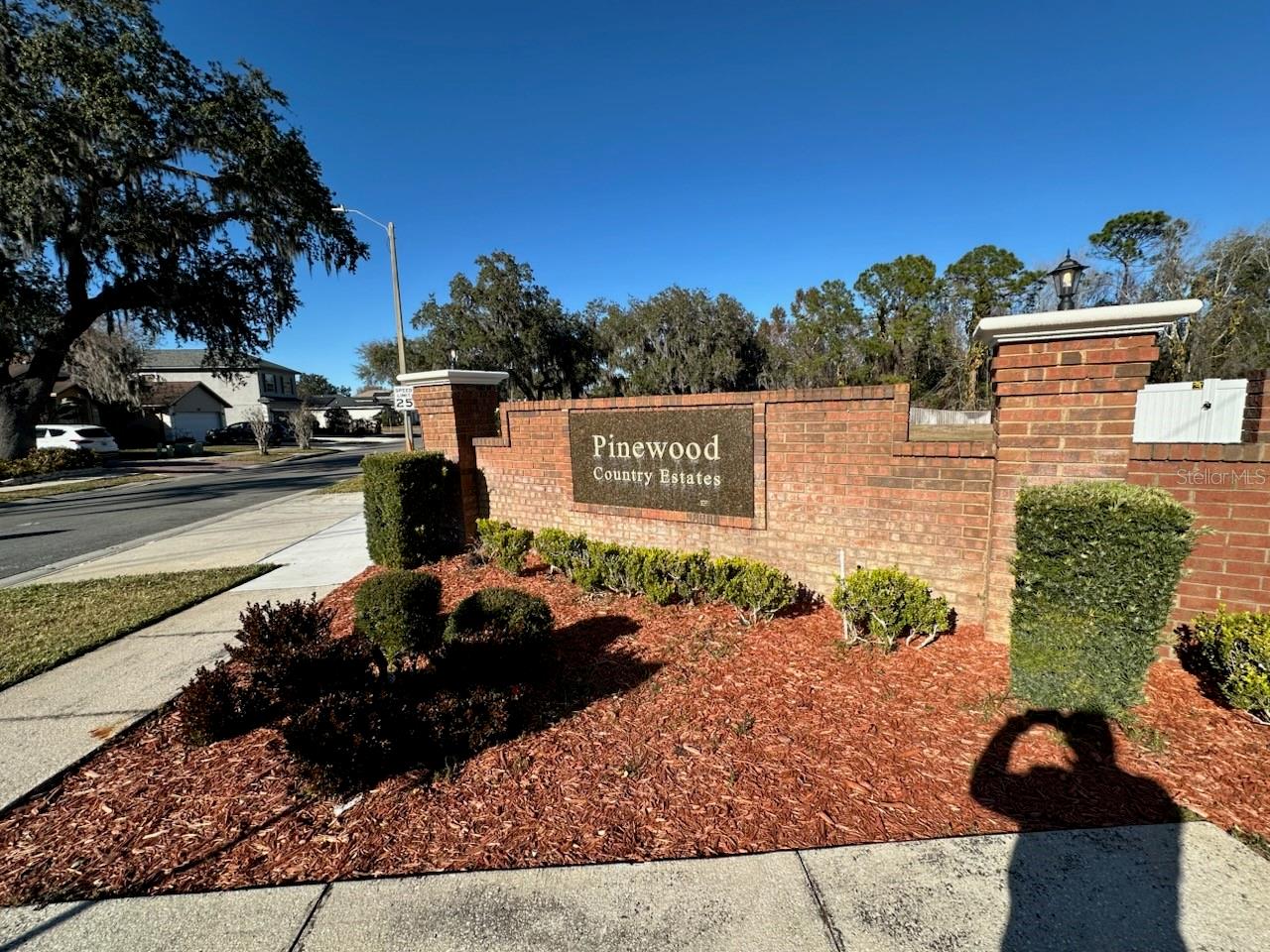 117 CYPRESS LANDING ST, DAVENPORT, FL, 33896