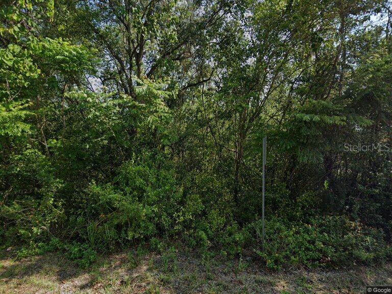 916 PINEAIRE ST, INVERNESS, FL, 34452