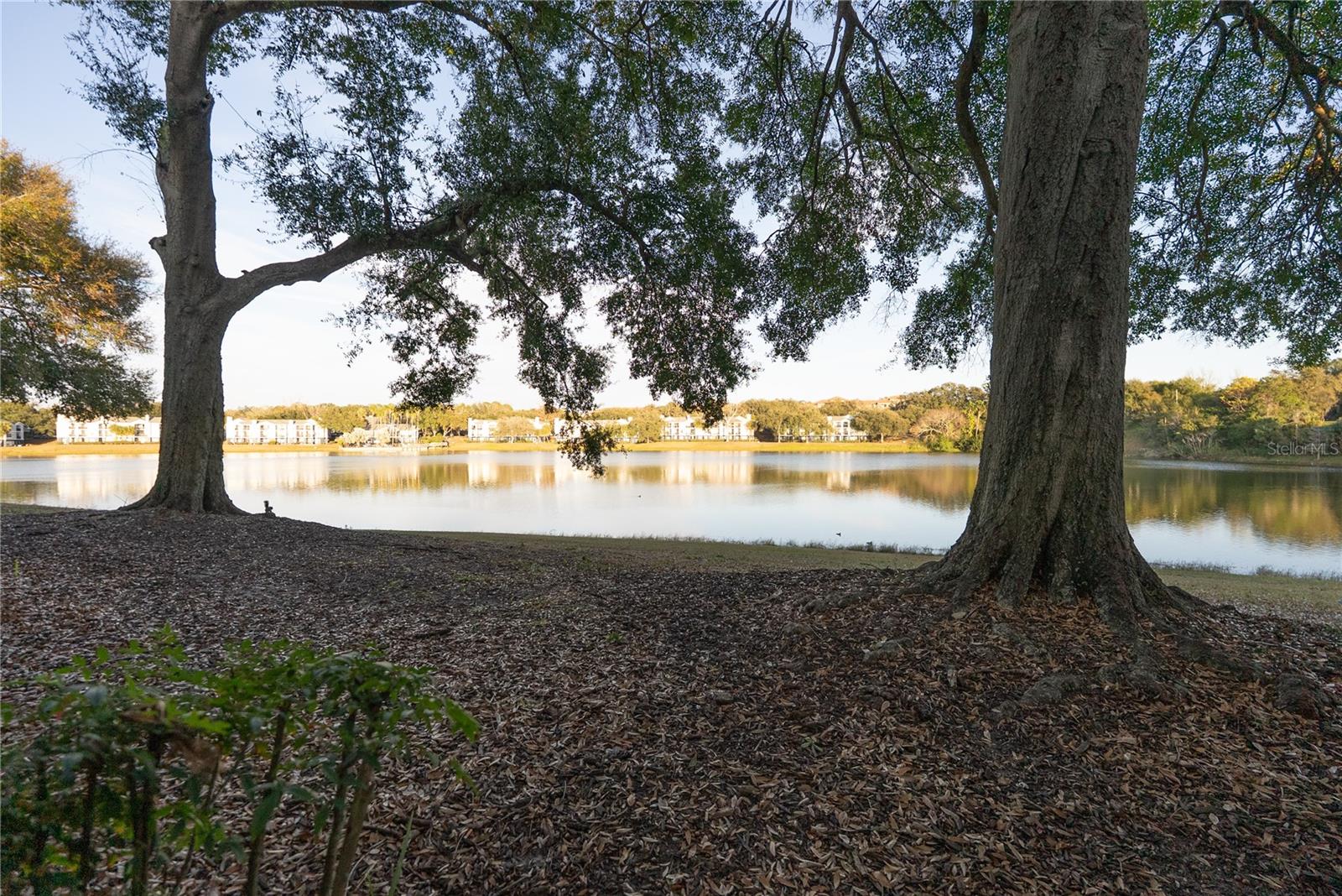 1071 S HIAWASSEE RD #1214, ORLANDO, FL, 32835