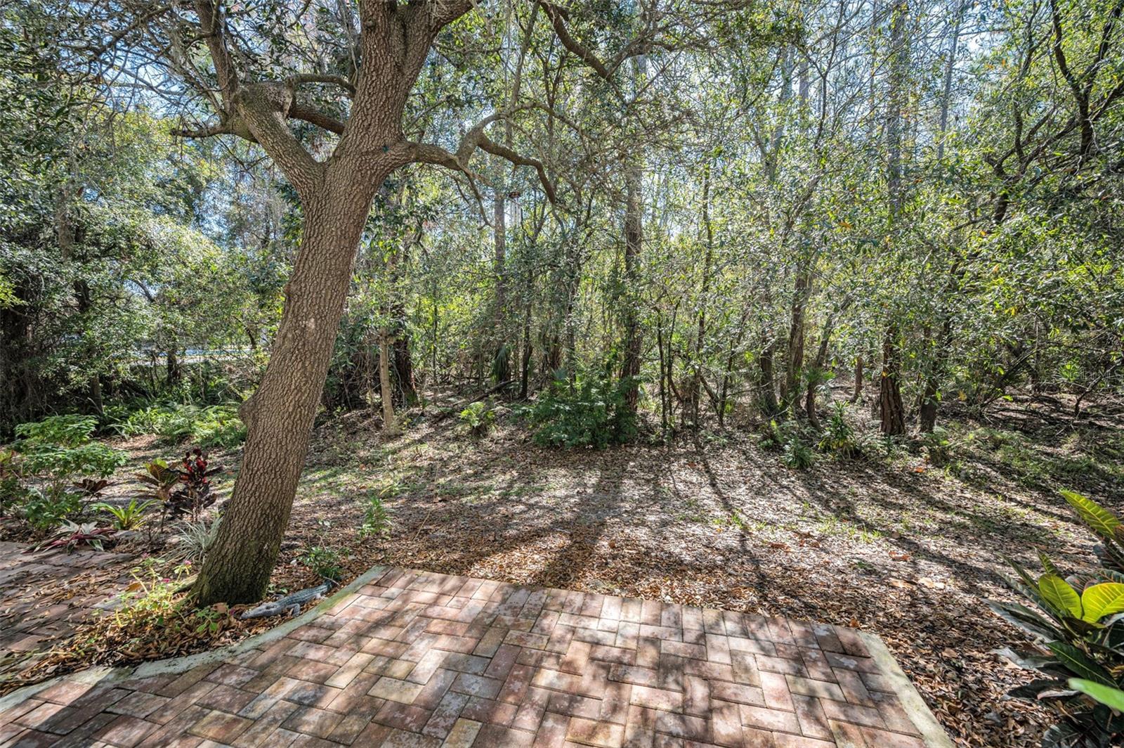 9614 CHARLESBERG DR, TAMPA, FL, 33635