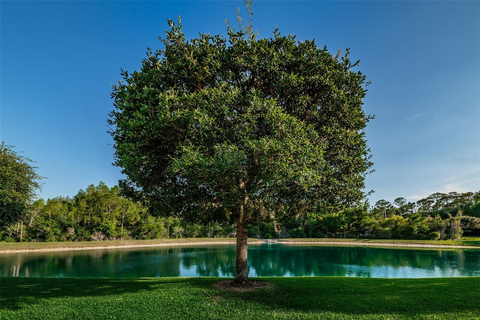 9614 CHARLESBERG DR, TAMPA, FL, 33635