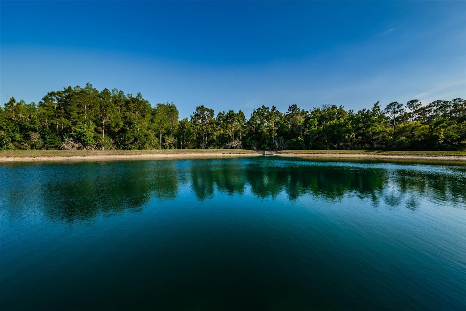 9614 CHARLESBERG DR, TAMPA, FL, 33635