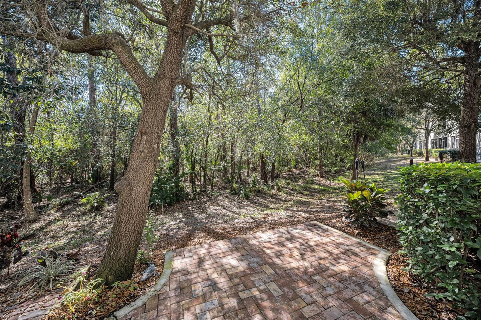 9614 CHARLESBERG DR, TAMPA, FL, 33635