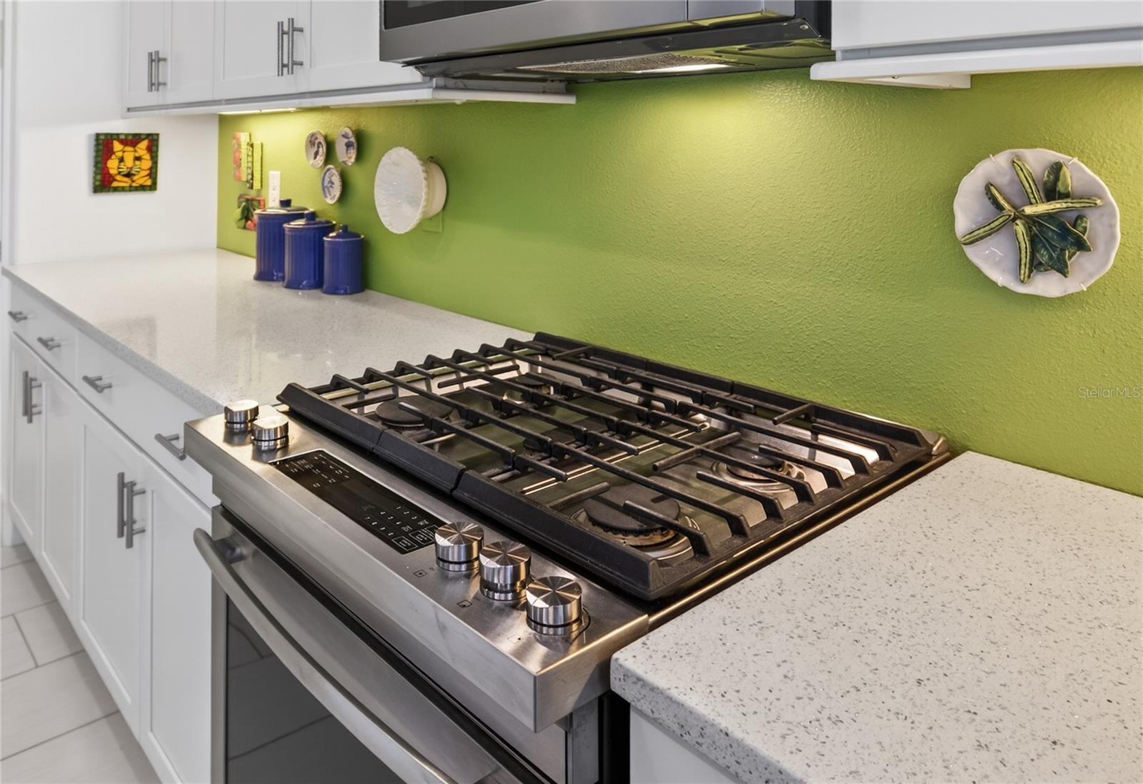 2440 PAWTUCKET PASS, MOUNT DORA, FL, 32757