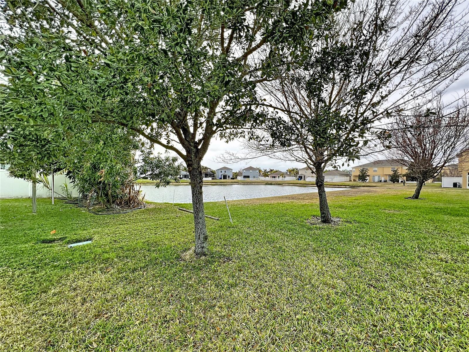 1920 CITRUS LAKE CT, RUSKIN, FL, 33570