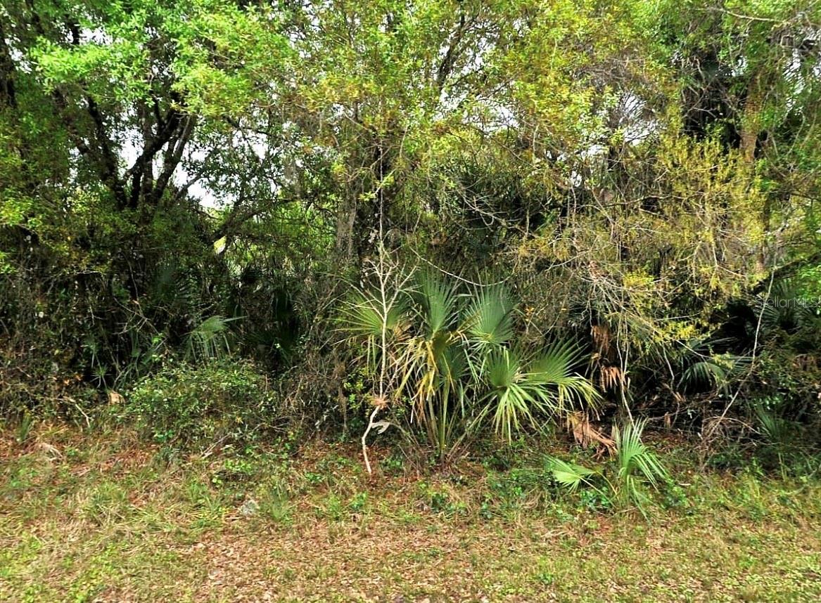 BACKERT RD., NORTH PORT, FL, 34291