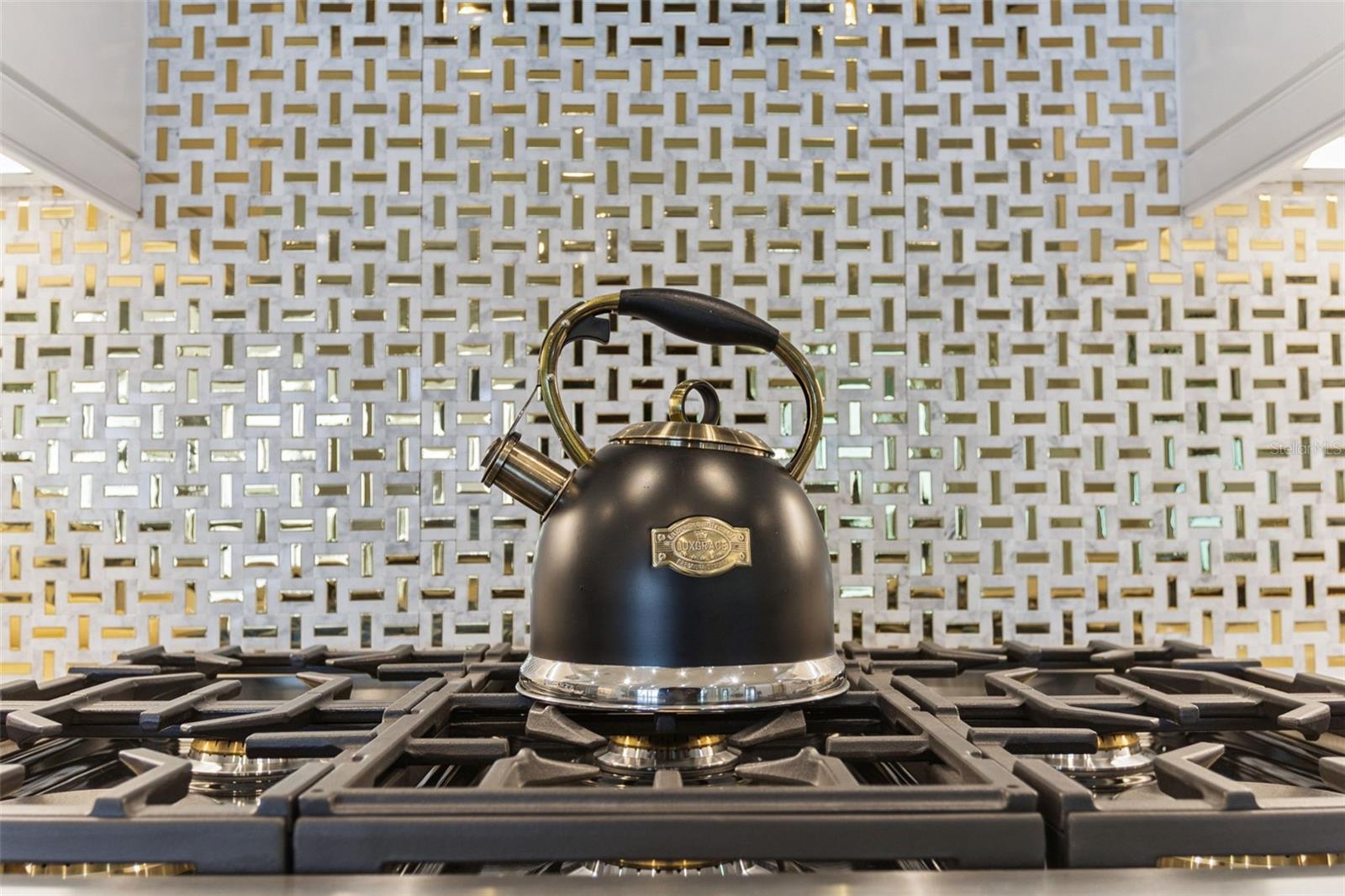 1609 BELLAGIO LOOP, TAVARES, FL, 32778