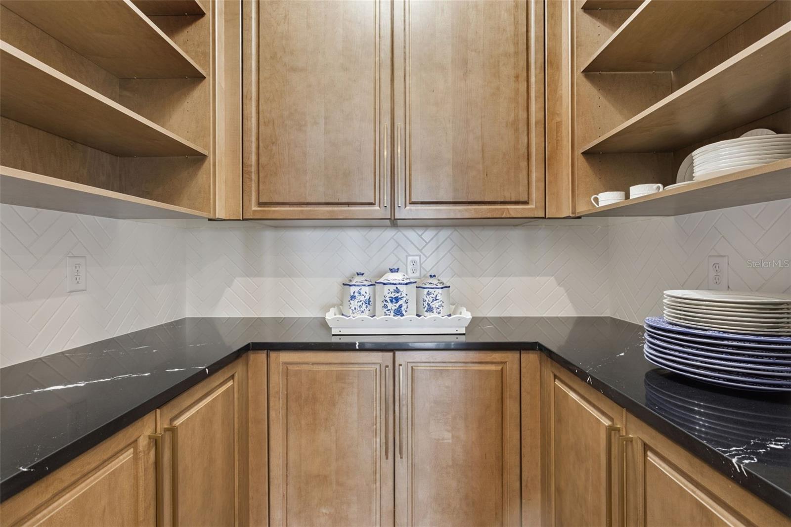 1609 BELLAGIO LOOP, TAVARES, FL, 32778