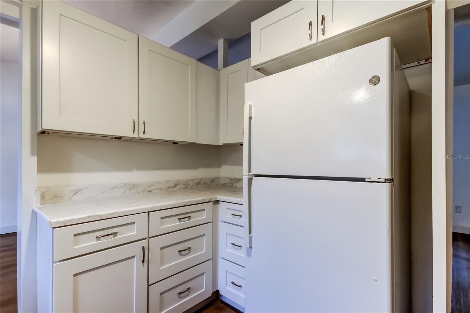 1000 39TH AVE NE, ST PETERSBURG, FL, 33703