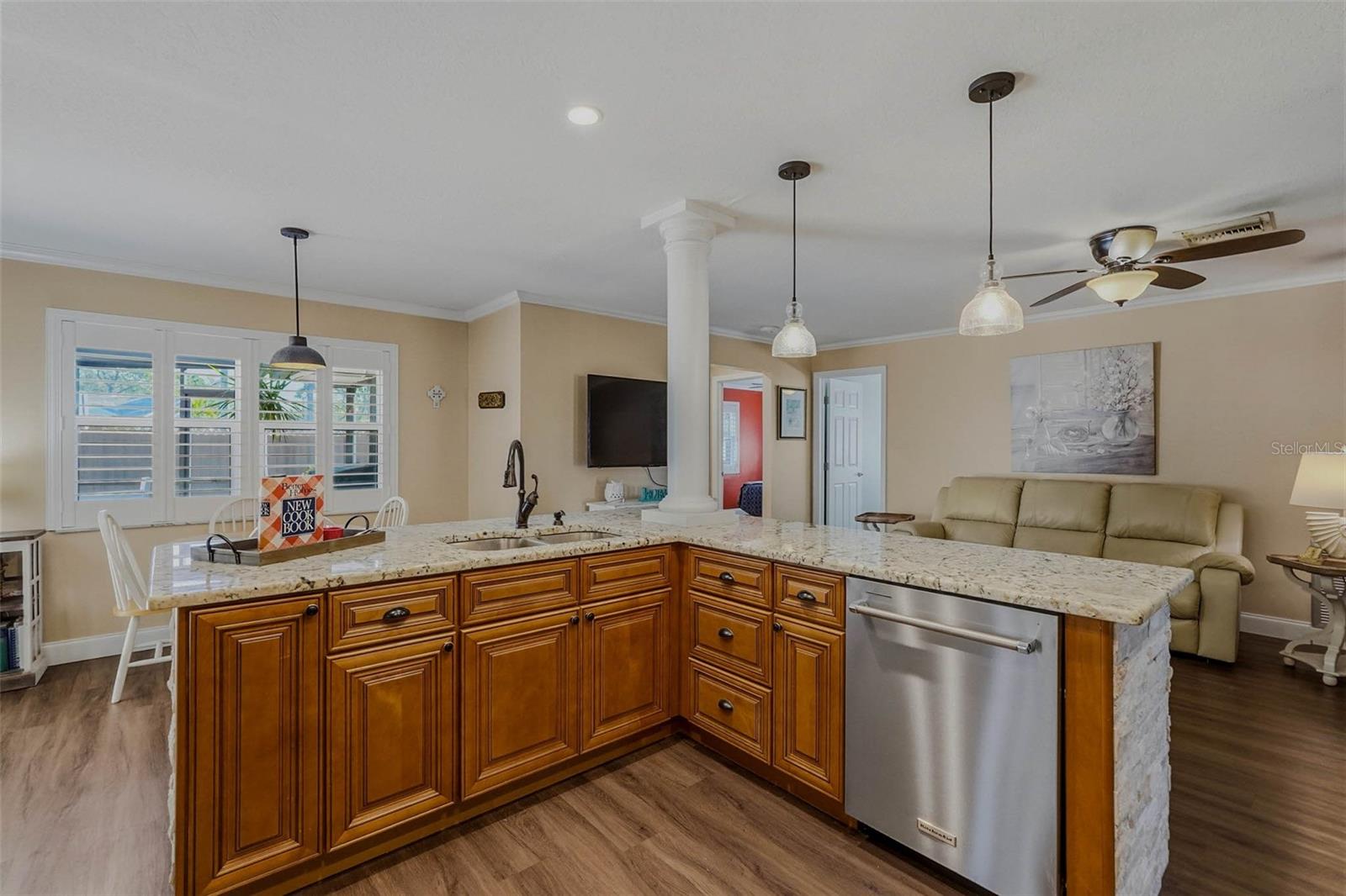 10099 LINDEN PLACE DR, SEMINOLE, FL, 33776