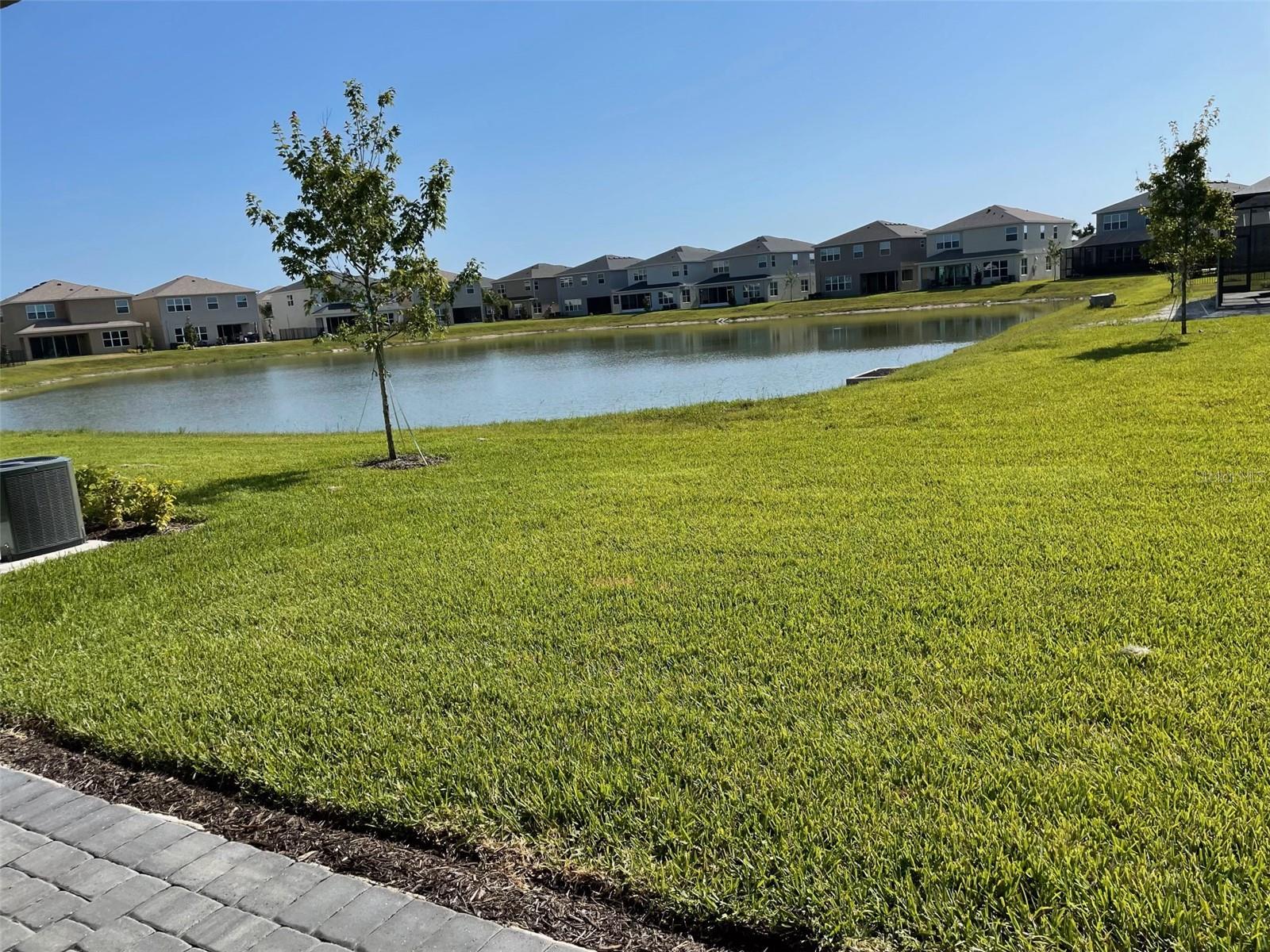 3442 GREAT BANYAN WAY, WESLEY CHAPEL, FL, 33543