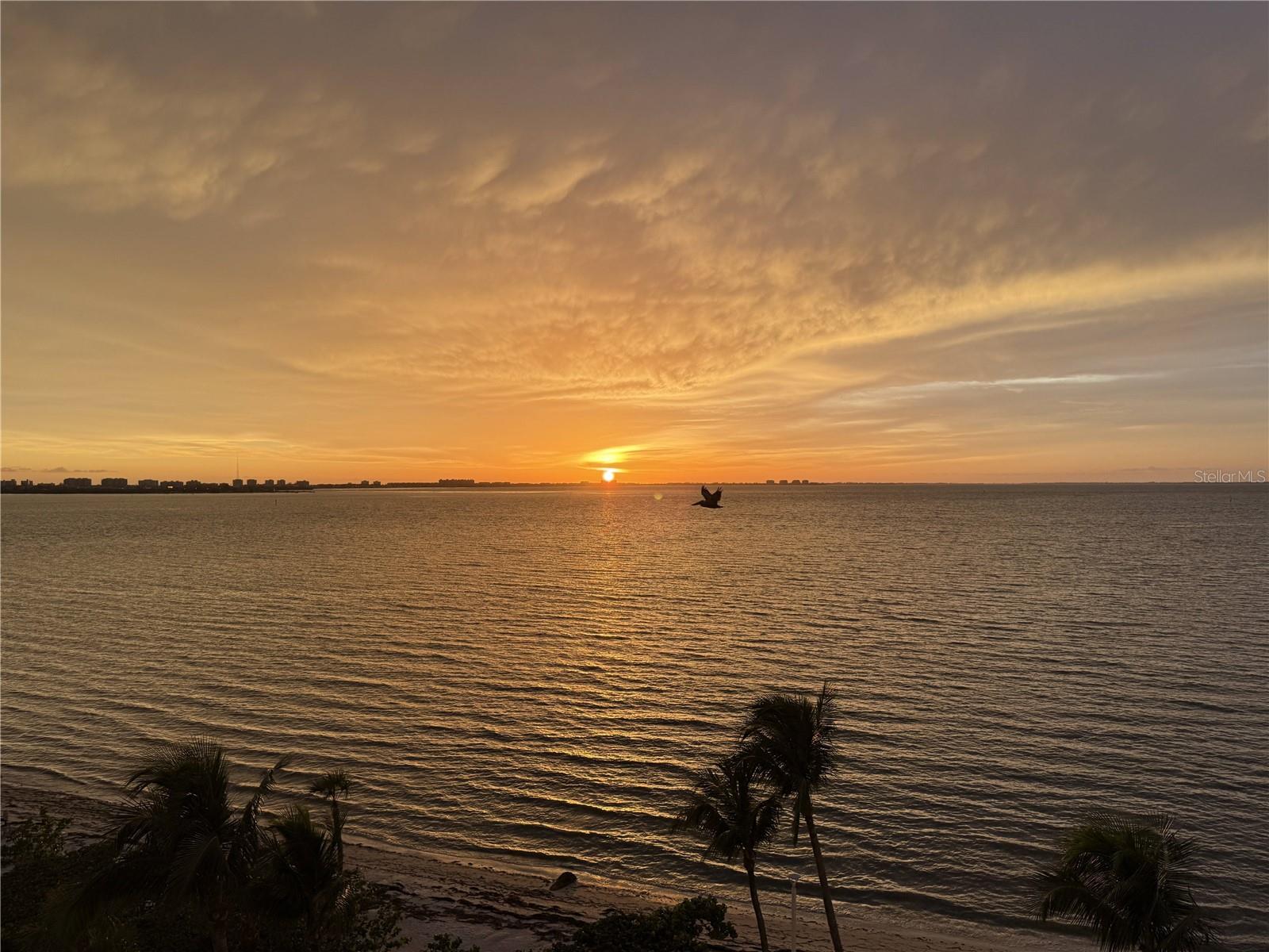 11 SUNSET DR #502, SARASOTA, FL, 34236