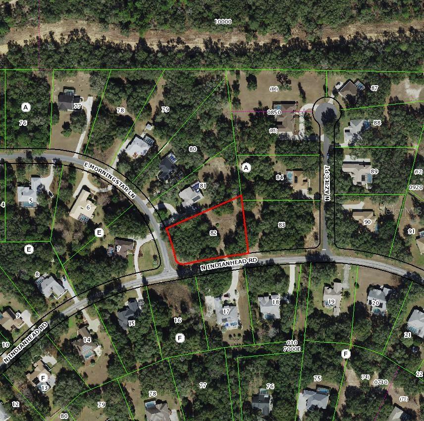 1085 E MORNINGSTAR LN, HERNANDO, FL, 34442