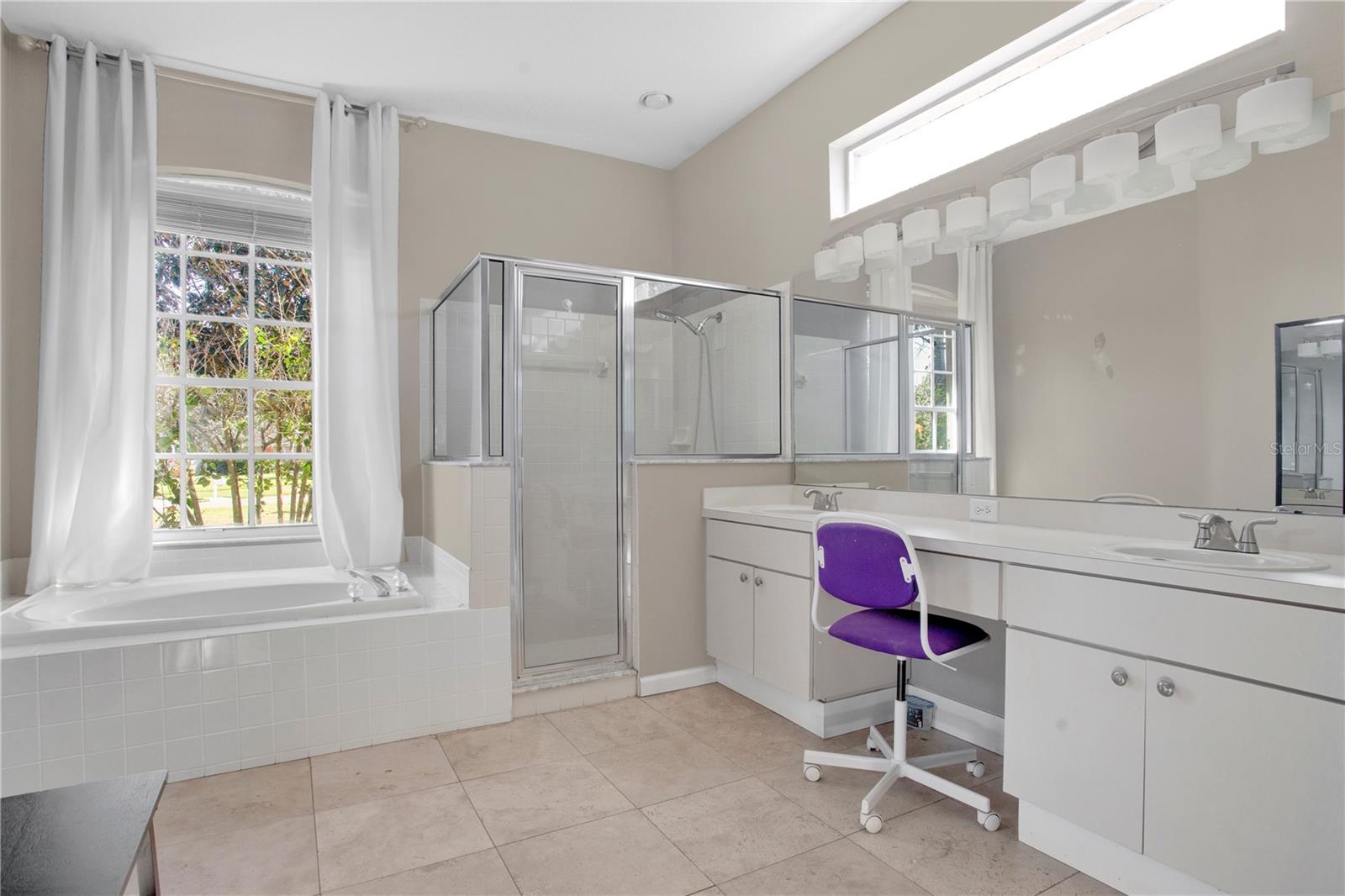 10003 COUNTRY CARRIAGE CIR, RIVERVIEW, FL, 33569