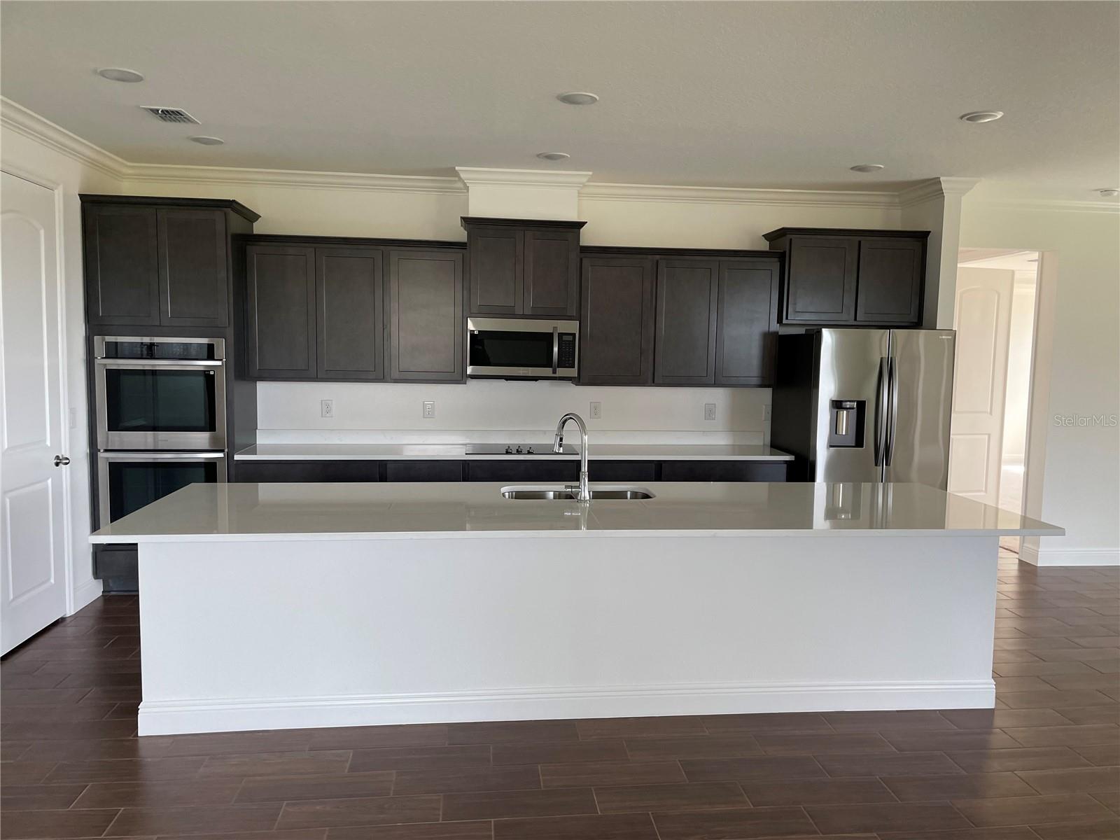 10067 DOLPHIN GULL CIR, THONOTOSASSA, FL, 33592