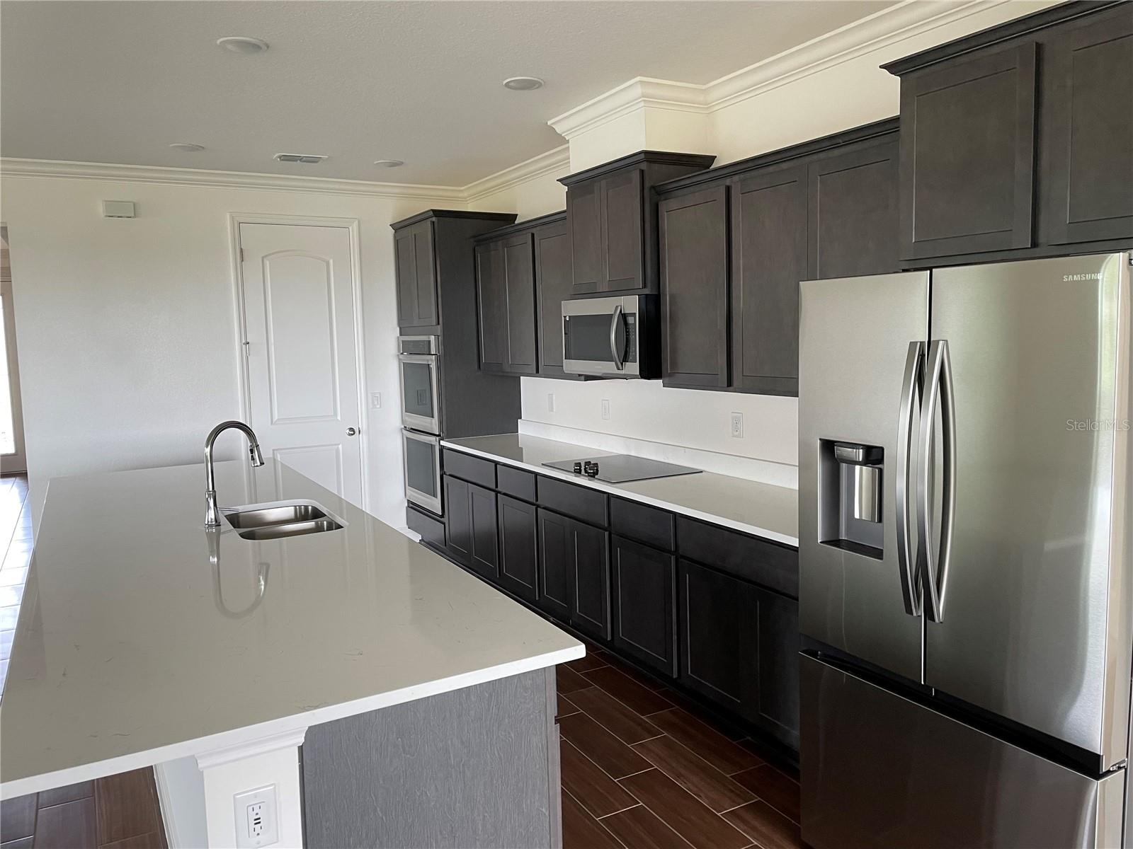 10067 DOLPHIN GULL CIR, THONOTOSASSA, FL, 33592