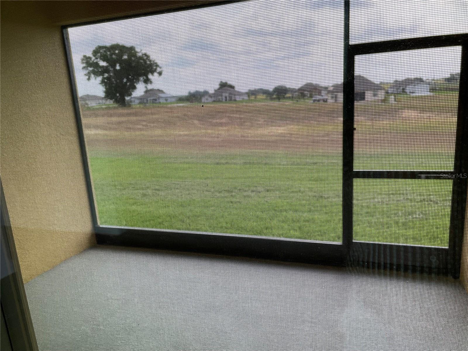 10067 DOLPHIN GULL CIR, THONOTOSASSA, FL, 33592