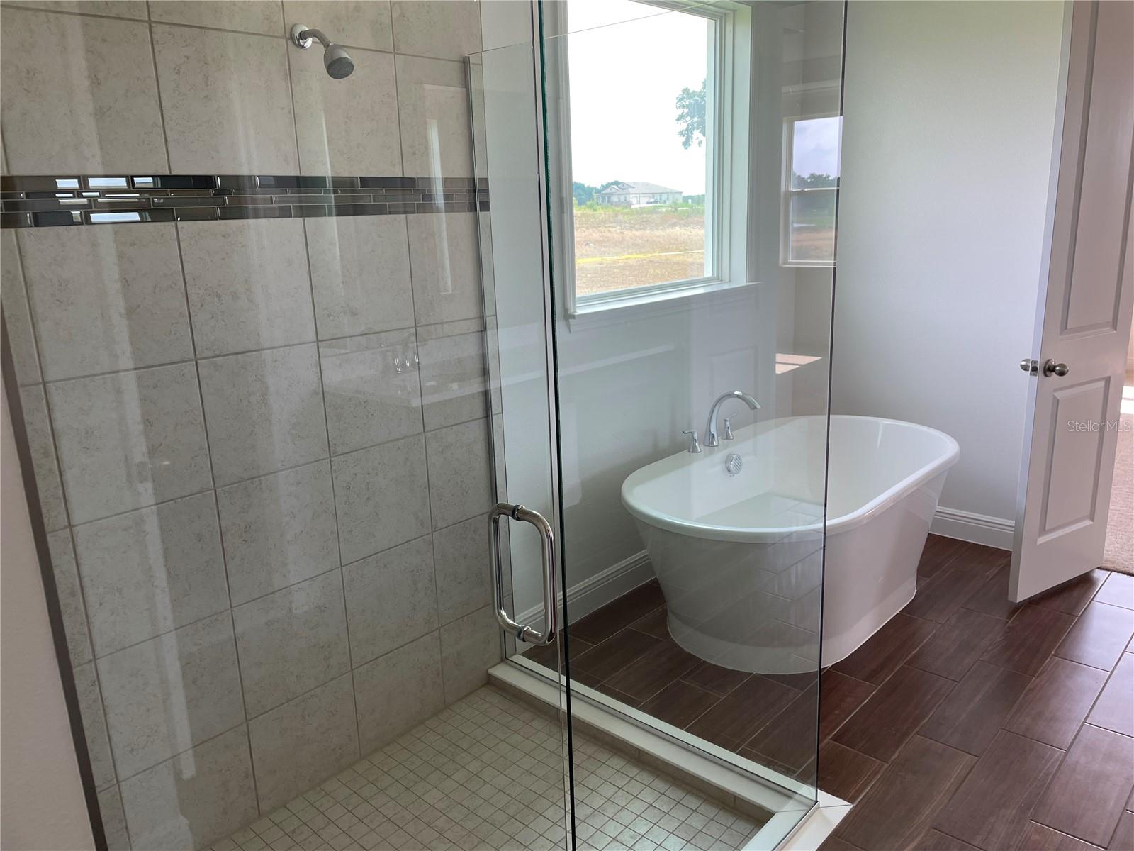 10067 DOLPHIN GULL CIR, THONOTOSASSA, FL, 33592