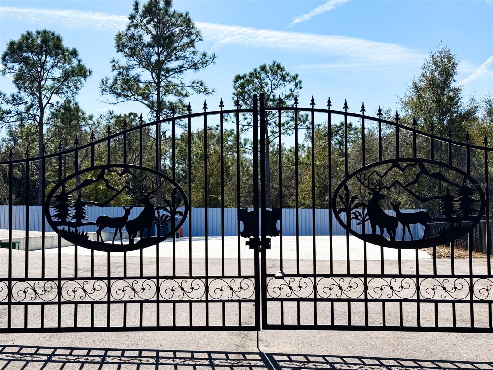 34370 RICHARDSON BLVD, WEBSTER, FL, 33597