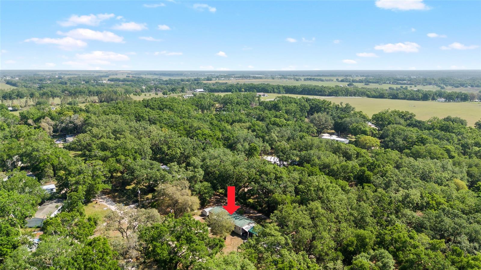 8742 BRAZIL, ZEPHYRHILLS, FL, 33540