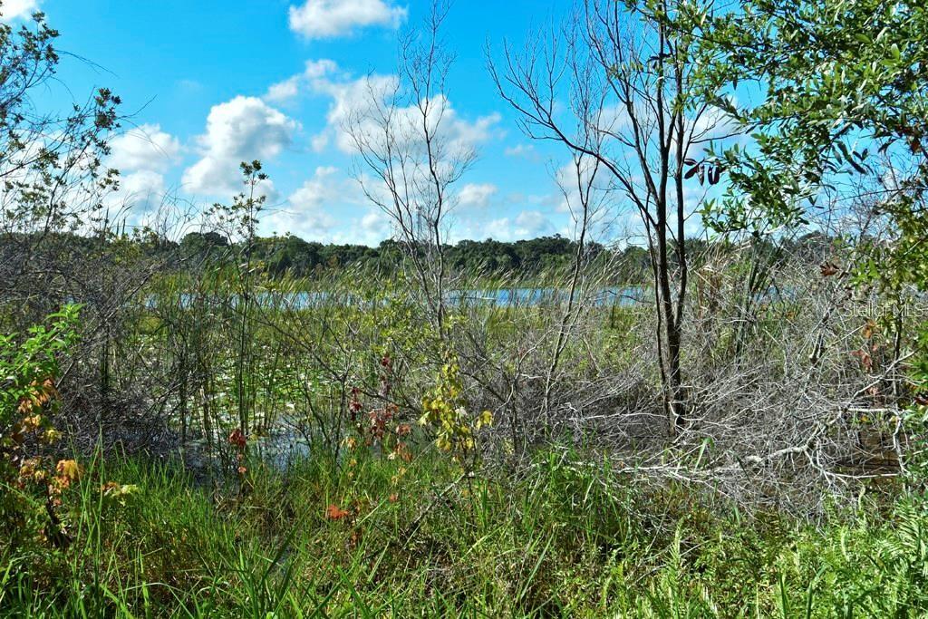 5513 674 HWY, WIMAUMA, FL, 33598